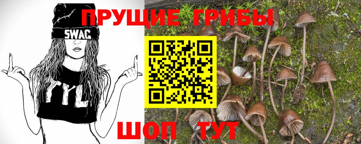 Псилоцибиновые грибы GOLDEN TEACHER  где купить наркотик  Орехово-Зуево  Вход с VPN 