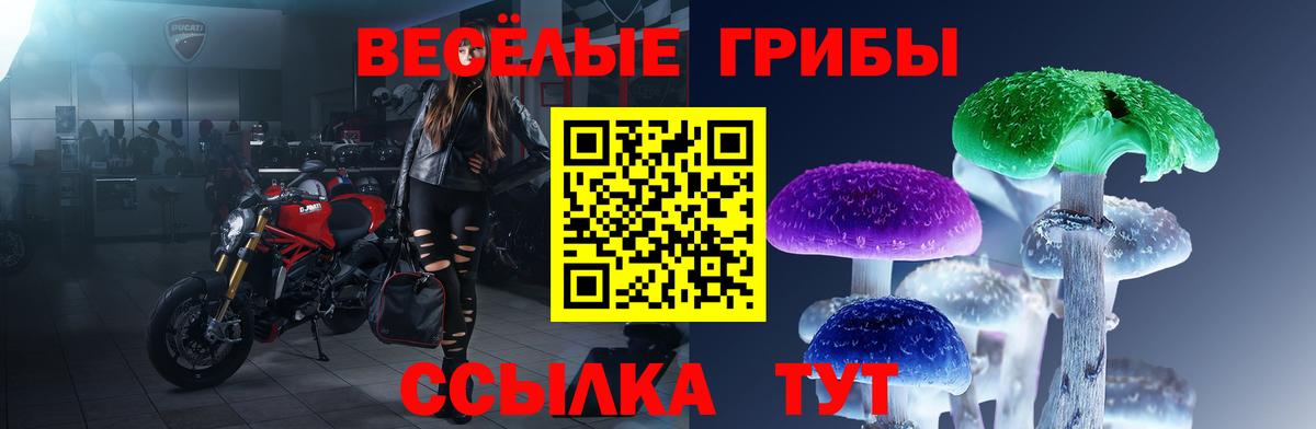 Галлюциногенные грибы мухоморы Орехово-Зуево